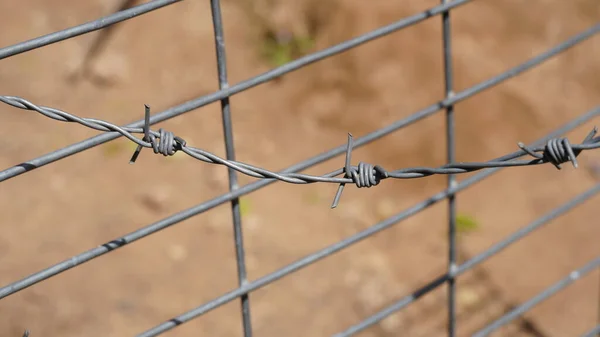 鉄条網だ 農場のフェンスの警備の一部だ 牛飼育場における有刺鉄線柵の閉鎖 私有財産の保護 — ストック写真