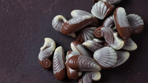 Belgian Seashells Traditional Chocolate Candies Belgian Milk Chocolate Bonbons Shaped —  Fotos de Stock