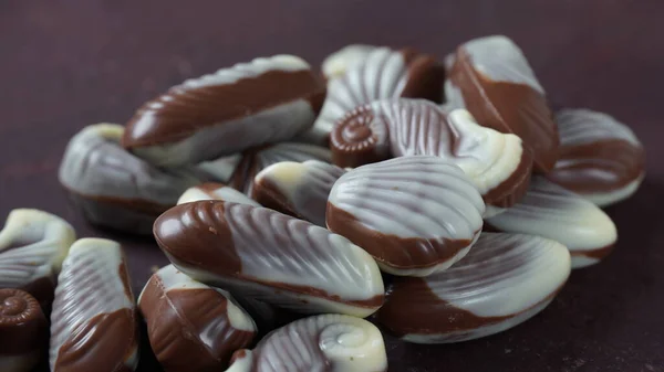 Belgian Seashells Traditional Chocolate Candies Belgian Milk Chocolate Bonbons Shaped —  Fotos de Stock