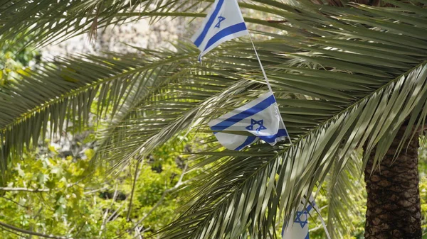 Israel Celebrates Independence Day Flag Independence Day Israel Flag White — Stok fotoğraf