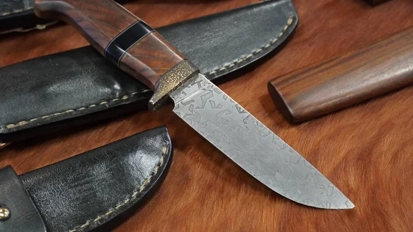 Μαχαίρι Κυνηγιού Σφυρηλατημένο Από Ατσάλι Μαχαίρι Προσαρμόζεται Για Χρήση Στην — Φωτογραφία Αρχείου