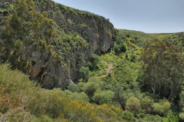 Kuzey İsrail 'deki Ayun Nehri Doğa Koruma Alanı