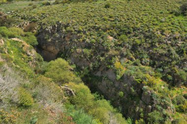Tepeler HaTanur şelalesinin yakınındaki yeşilliklerle kaplandı. Galilee 'deki Ayun Nehri, Kuzey İsrail