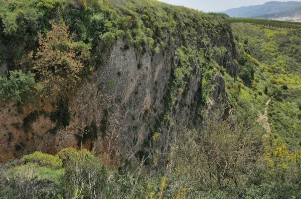 Přírodní Rezervace Ayun River Severním Izraeli — Stock fotografie