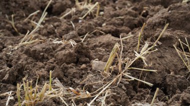 Tarımsal Arazi Yakın zamanda sürüldü ve hasat için hazırlandı