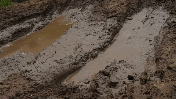 Muddy field with tire tracks and puddles. Dirty road with mud  truck wheel tracks after rain. Off-road.