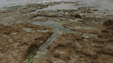 Deniz kıyısında gelgit suyuyla dolu volkanik kaya tabakası. Berrak deniz suyunun kenarındaki volkanik kayalar. Deniz kıyısındaki doğal kayalık dalgalı su