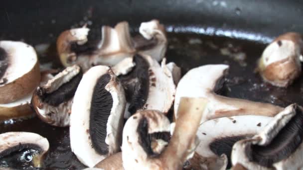 Fritar Cogumelos Picados Champignon Uma Panela Adicionando Pouco Mais Panela — Vídeo de Stock