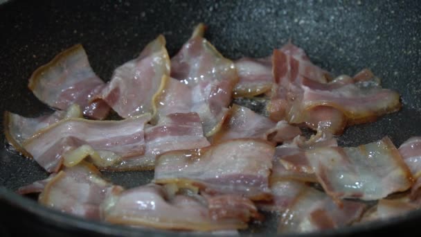 Bacon Slices Frying Pan Close — Stock Video