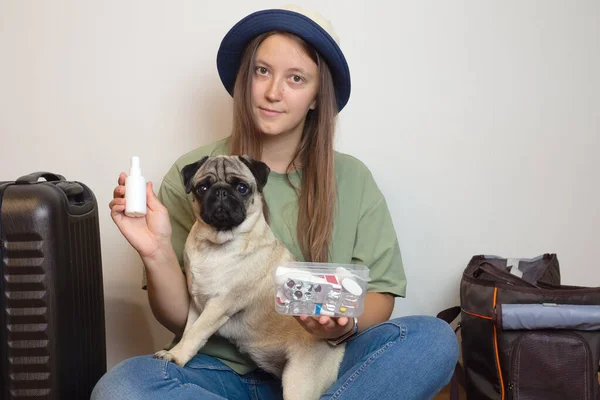 Woman collects medications in the first aid kit for pug dog. Packing for traveling with pets.