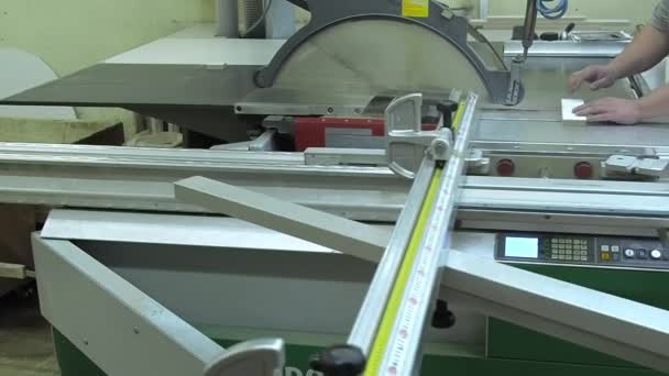 민스크, 벨라루스 - 2021 년 9 월 24 일 : Joiner saws a sheet of chipboard. 둥근 톱을 가진 목공 기계. 가구 제조 — 비디오