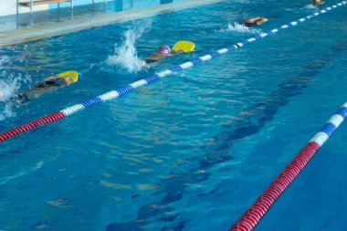 Havuzda yüzme eğitimi. Gençler ve erkekler serbest stil yüzmeyi öğrenirler.