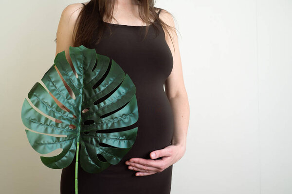 Pregnant woman with green tropical palm monstera leaf holds hands on belly. Eco pregnancy and planning pregnacy.