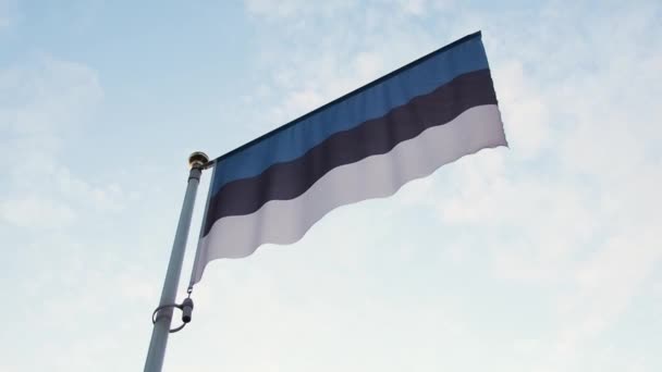 Bandera de Estonia ondeando en el viento entre el cielo azul. — Vídeo de stock
