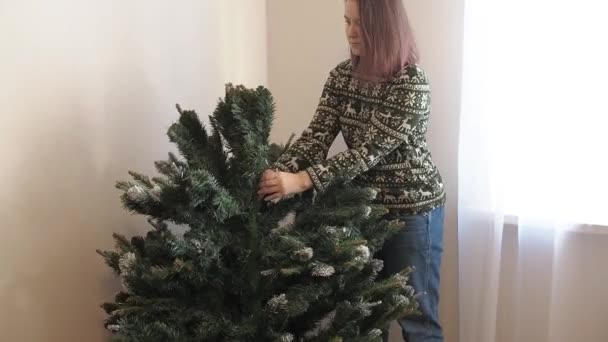 Einsame junge Frau installiert künstlichen Weihnachtsbaum zu Hause. Vorbereitung auf Weihnachten — Stockvideo