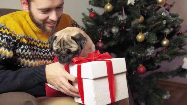 Man geeft kerstcadeau aan een grappige hond. Vier Kerstmis met uw mooie huisdier concept. Sociale uitsluiting tijdens de vakantie. Vrolijk Kerstfeest en Gelukkig Nieuwjaar. — Stockvideo