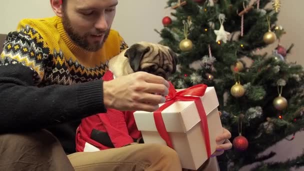 男は面白い犬にクリスマスの贈り物を与えます。素敵なペットのコンセプトでクリスマスを祝いましょう。休暇中のソーシャルロックダウン。メリークリスマスとハッピーニューイヤー. — ストック動画