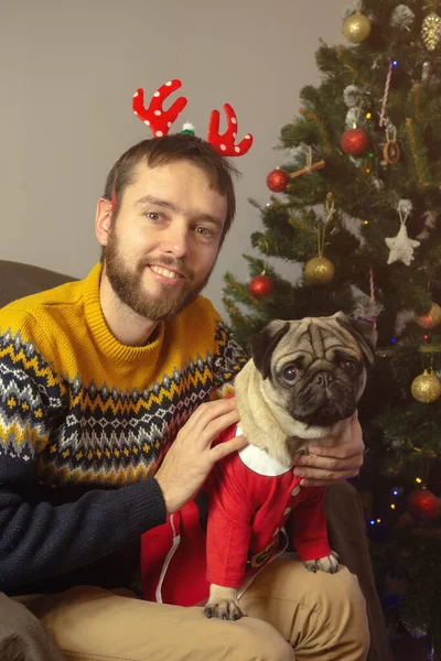 Single Unmarried Man His Pug Dog Sitting Christmas Tree Home — Stock Photo, Image