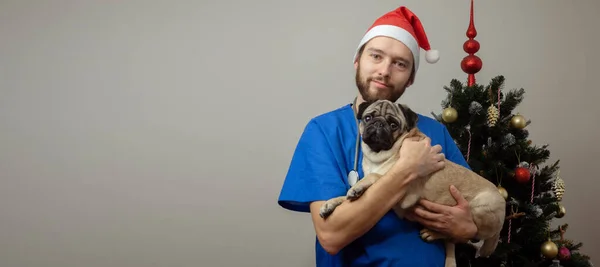 赤いサンタの帽子の男獣医の医者とクリスマス休暇の医療制服の仕事。犬を手にした獣医師は — ストック写真