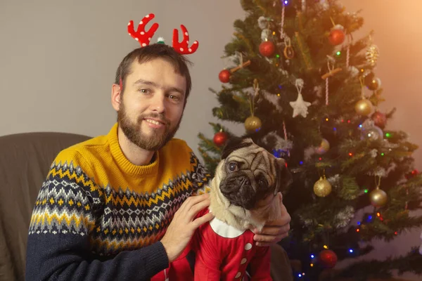 Неженатый мужчина с собакой-мопсом сидит дома возле рождественской елки. Отпразднуйте Рождество с вашей прекрасной концепции домашнего животного. Социальная изоляция во время праздников — стоковое фото