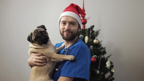 Man vet doctor in red santa hat and medical uniform work on Christmas holidays. veterinarian with pug dog on hands — Stock Video