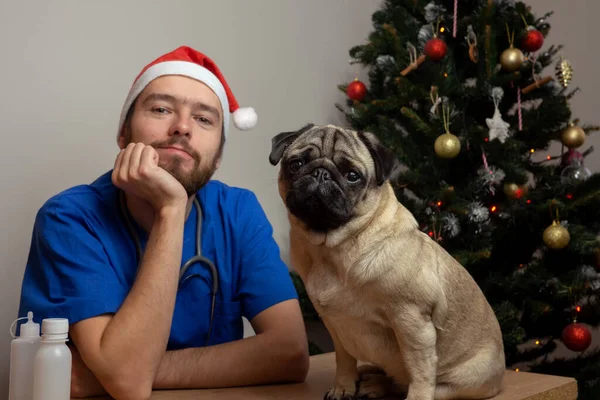 赤いサンタの帽子の男獣医の医者とクリスマスの夜に制服の仕事。獣医師は犬の命を救う. — ストック写真