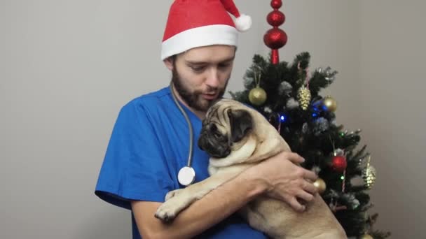 Чоловік ветеринарний лікар у червоному капелюсі Санта та медична уніформа на Різдво. ветеринар рятує життя собаці . — стокове відео