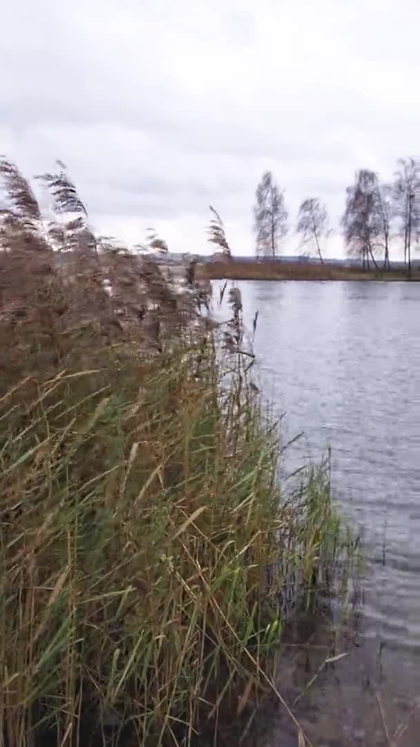 Imagens do conceito de lago místico selvagem desabitado. nebulosidade temperamental e vento e ondas no lago. Estilo nórdico Natureza Ambiente. — Vídeo de Stock