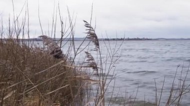 Issız vahşi mistik göl konsept görüntüleri. Huysuz bulutlar, rüzgarlı hava ve göldeki dalgalar. Nordic Style Doğa Ortamı.