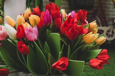 Bahar çiçekli lalelerin karışımı sepette. Sahte lale, çiçek yaprakları ve yaprakları olan bir poster. Kadınlar Günü ve Anneler Günü kutlaması