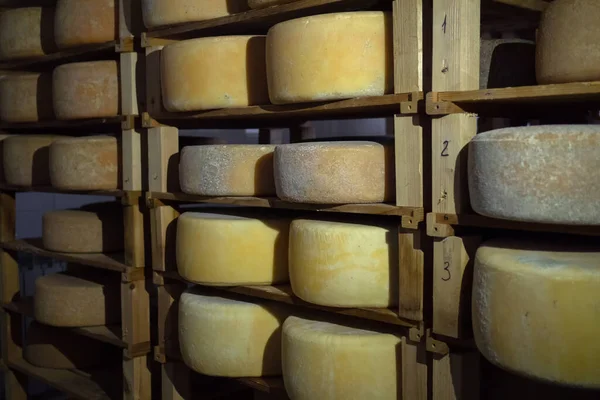 チーズ工場の木製棚の列に熟成チーズホイールの盛り合わせ風味 — ストック写真