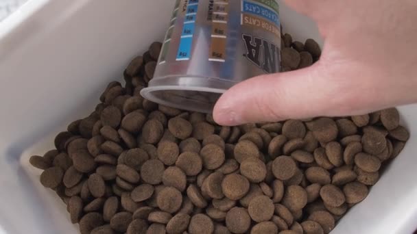 Hombre mano saca comida para perros en una taza de medición para medir el volumen de la porción diaria de comida — Vídeos de Stock