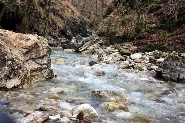 Flujo Agua Fría Arroyo Entre Las Rocas Bosque Otoñal Toscana — Foto de Stock