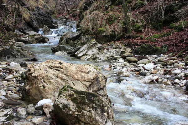 Flujo Agua Fría Arroyo Entre Las Rocas Bosque Otoñal Toscana — Foto de Stock