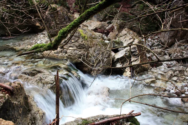 Flujo Agua Fría Arroyo Entre Las Rocas Bosque Otoñal Las — Foto de Stock