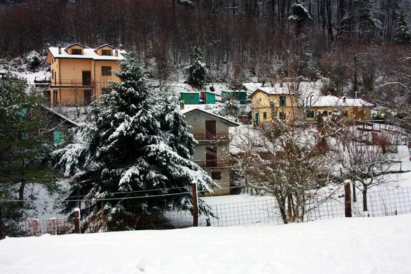 Paesaggio Rurale Collina Tra Abeti Pini Nelle Montagne Apuane Ricoperte — Foto Stock