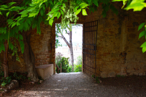Medieval secret passages hidden between walls and nature in tuscany