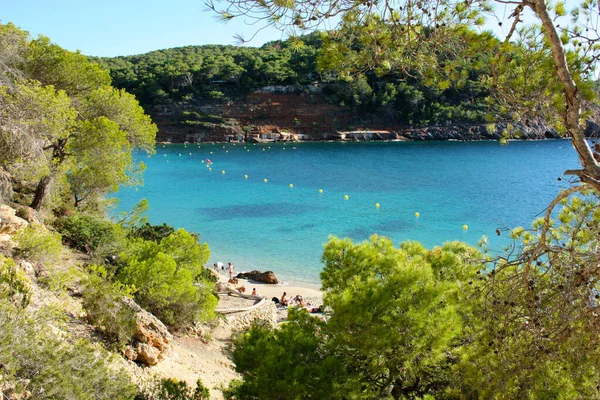 Felle Kleuren Van Het Beroemde Cala Saladeta Strand Ibiza Balearische — Stockfoto