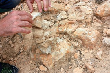 Çorak bir tarlada eski bir ruhla çalışan kırsal çıplak eller.