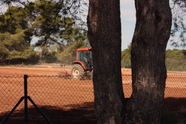 Balkulaik adalardan gelen çiftçi traktörünü Formentera 'daki sebze bahçesinin çorak toprağına sürüyor.