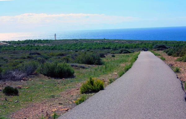 Famous Road Balearic Islands Leading Lighthouse Tourist Attraction Formentera Summer —  Fotos de Stock