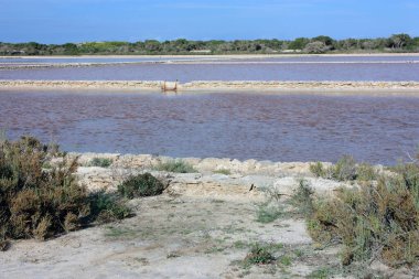 Balmer adalardaki formenteraların tuzlu göllerinin renkli güzel resimleri.