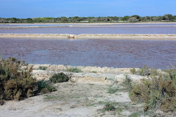 Balmer adalardaki formenteraların tuzlu göllerinin renkli güzel resimleri.