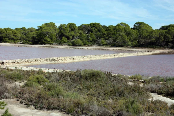 the natural reserve of the salinas of ibiza and formentera a spectacle of the balearic islands in spain