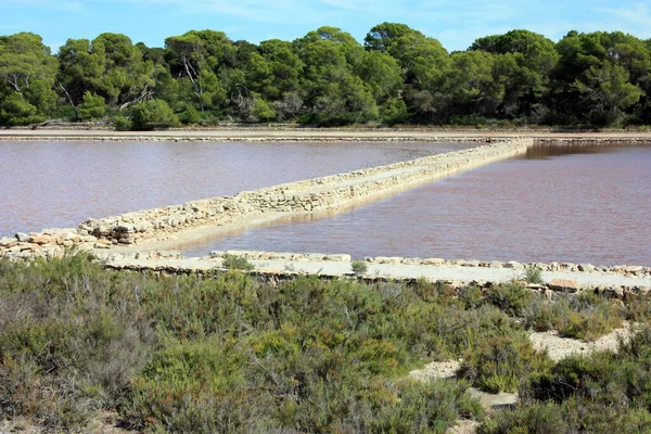 the natural reserve of the salinas of ibiza and formentera a spectacle of the balearic islands in spain