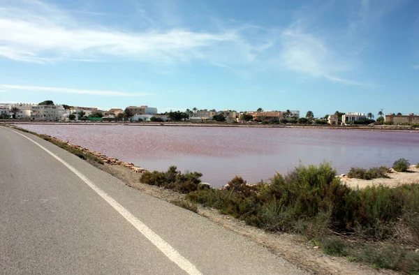 Природный Заповедник Salinas Ibiza Formentera Spectacle Balearic Islands Spain Лицензионные Стоковые Фото