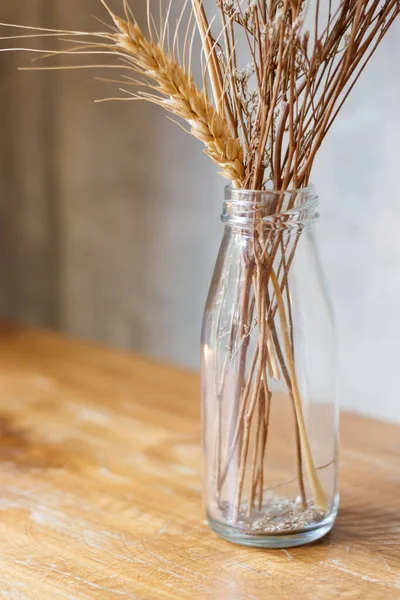 Blume Trocken Glas — Stockfoto