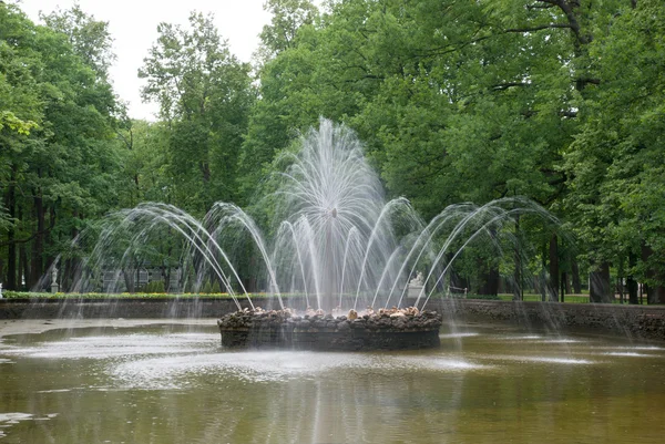 Peterhof. — Foto de Stock