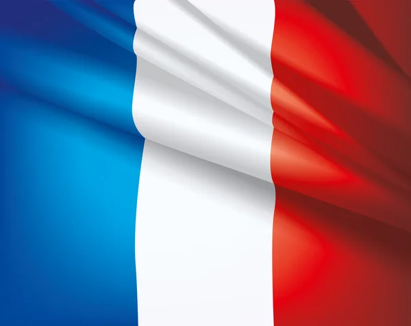 Flag of France, vector background — Stock Vector