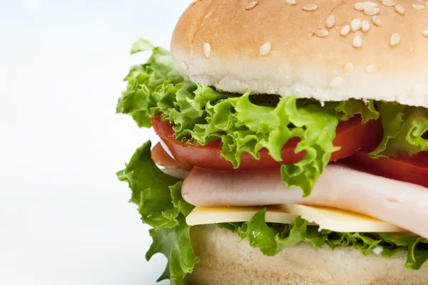 Closeup of sandwich on plate — Stock Photo, Image